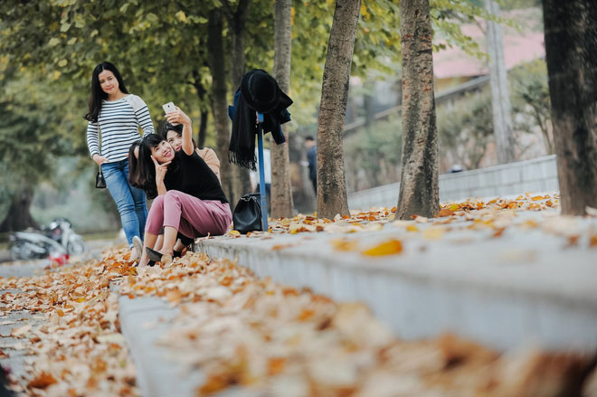17 ngày nữa là hết năm, người Hà Nội ngỡ ngàng bắt gặp hoa ban trái mùa khoe sắc trong giá rét